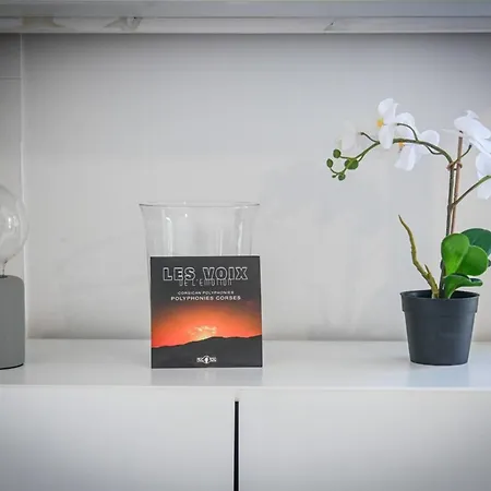 公寓 Ambre - Terrace Garden - By Tgb Albitreccia