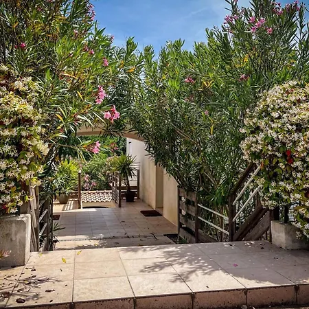 Ambre - Terrace Garden - By Tgb