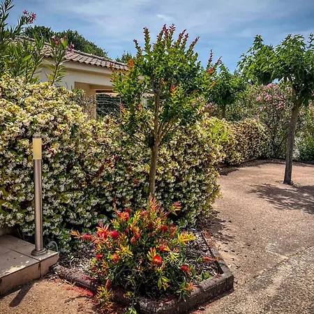 Ambre - Terrace Garden - By Tgb Lägenhet