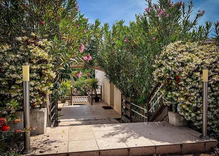 Ambre - Terrace Garden - By Tgb