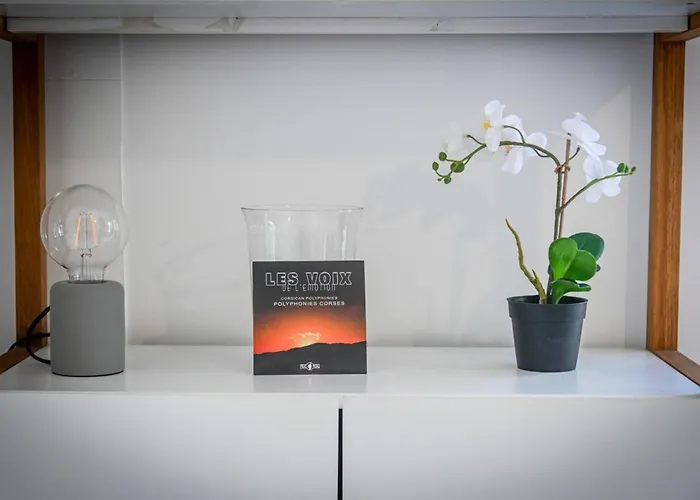 公寓 Ambre - Terrace Garden - By Tgb Albitreccia